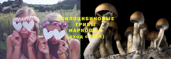 сатива Абдулино