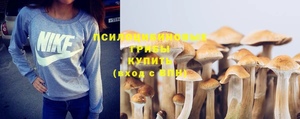 бошки Абинск