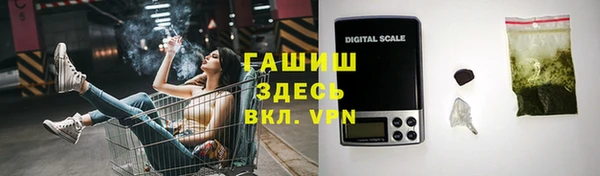 хмурый Алексин