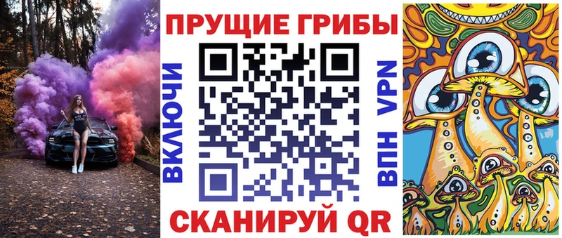 Псилоцибиновые грибы Psilocybe  купить   Болгар 